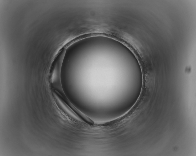 X0000097611260200802291254