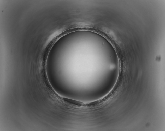 X0000097611261200802291254