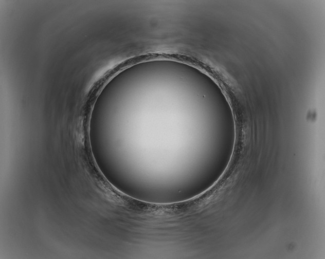 X0000097611262200802291254