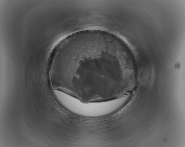 X0000097611263200802291253