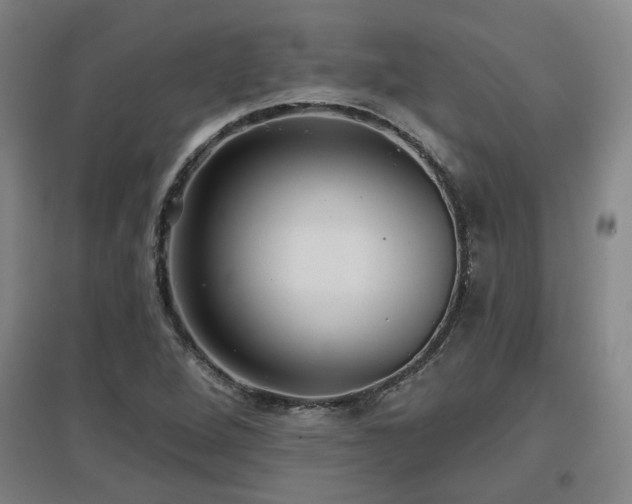 X0000097611264200802291253