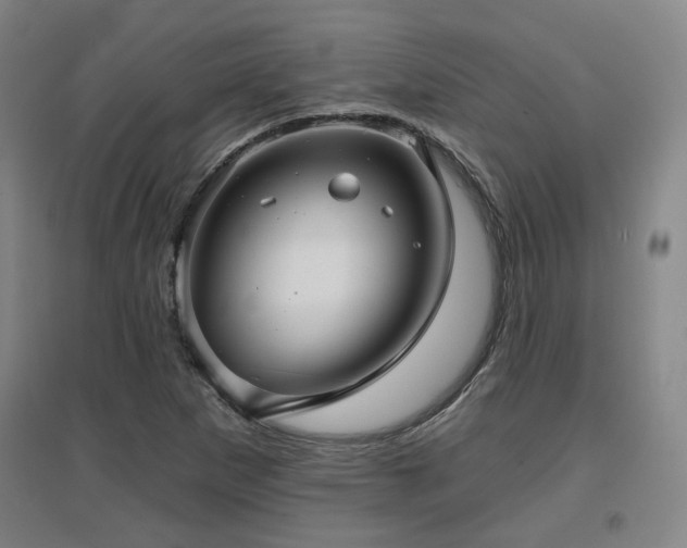 X0000097611265200802291253