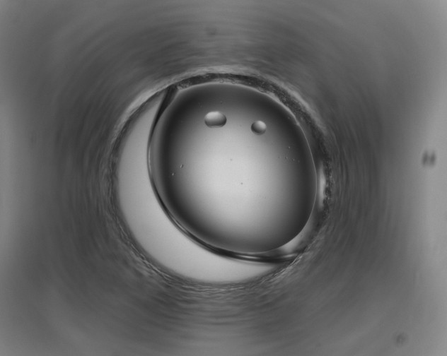 X0000097611266200802291253