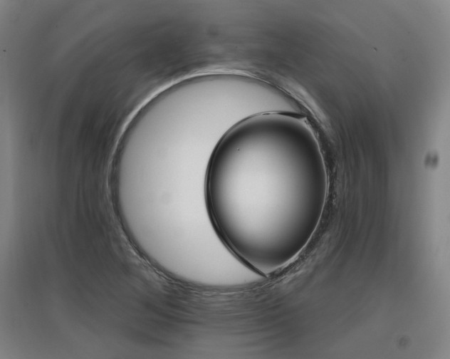 X0000097611268200802291253