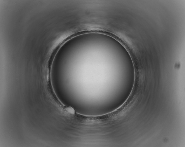 X0000097611269200802291253