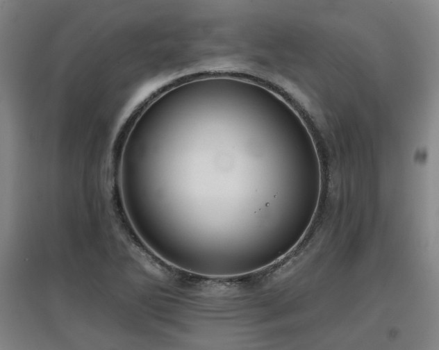 X0000097611270200802291253