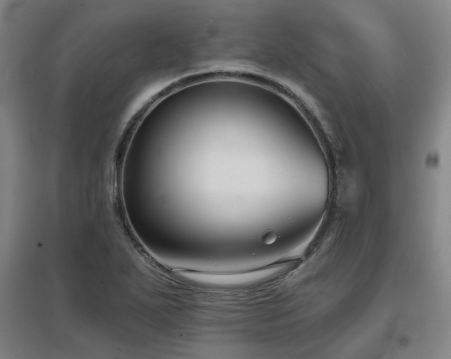 X0000097611271200802291253
