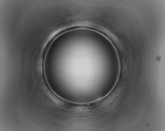 X0000097611272200802291253