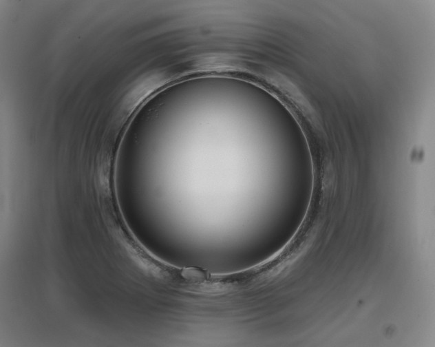 X0000097611273200802291253