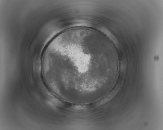 X0000097611274200802291253