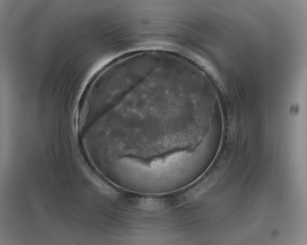 X0000097611275200802291253