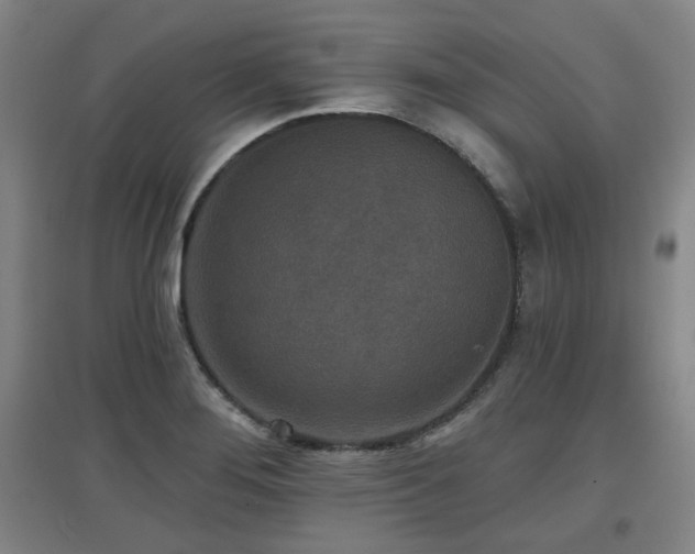 X0000097611276200802291253