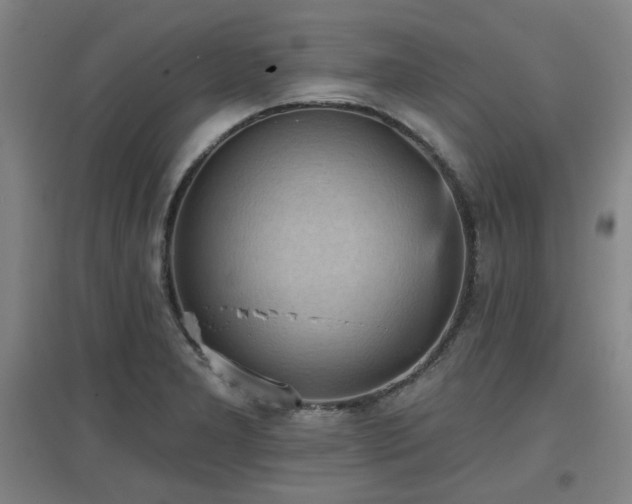 X0000097611277200802291253