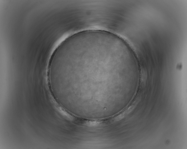 X0000097611278200802291253