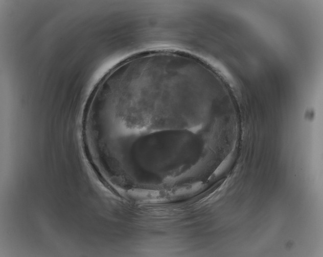 X0000097611279200802291253