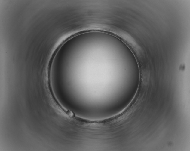 X0000097611280200802291253