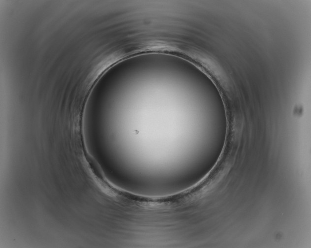 X0000097611281200802291253