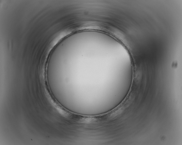 X0000097611282200802291253