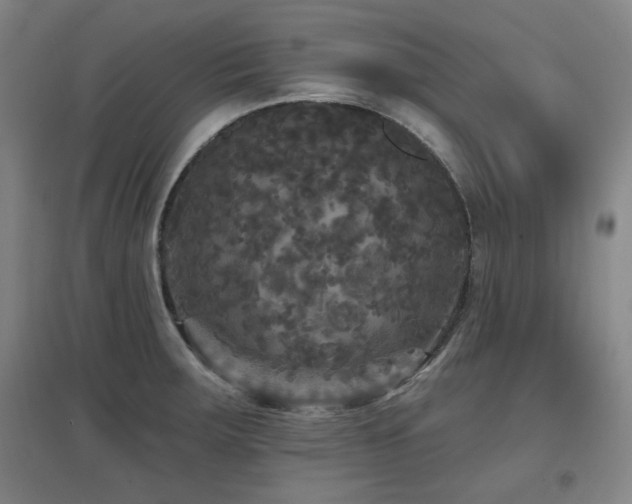 X0000097611283200802291253