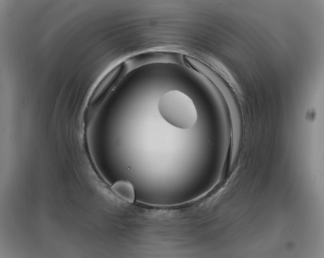 X0000097611284200802291253