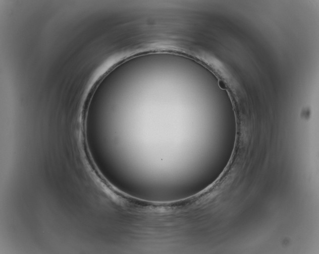 X0000097611286200802291253