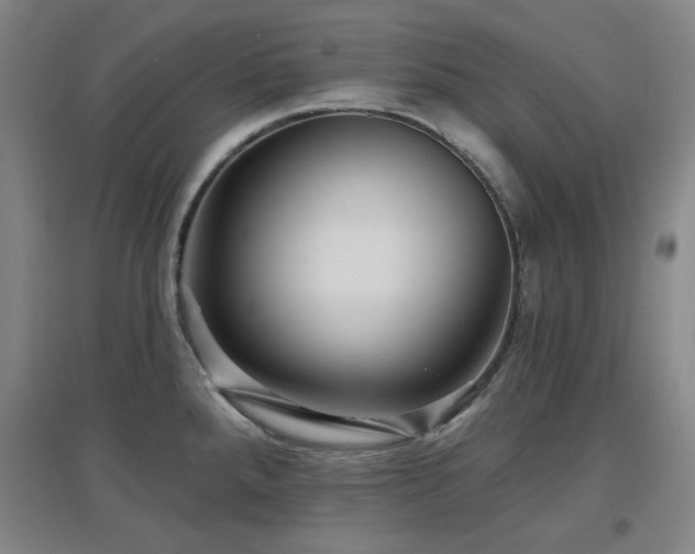 X0000097611288200802291253