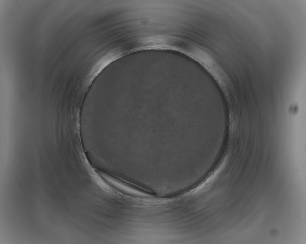 X0000097611289200802291253