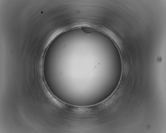 X0000097611290200802291253