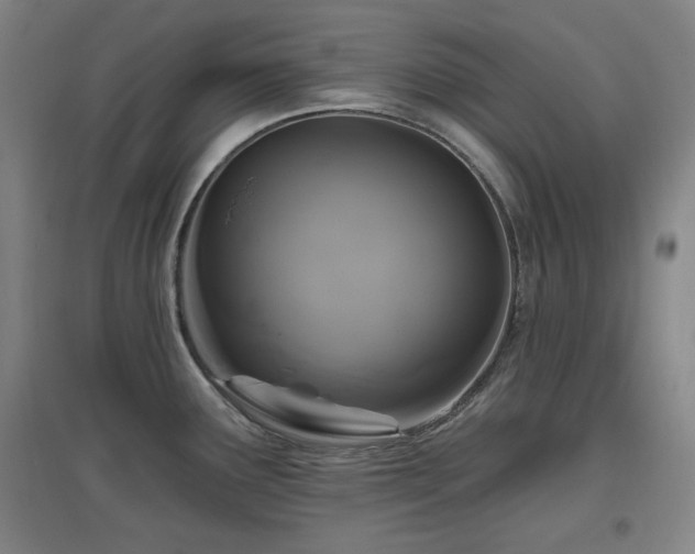 X0000097611291200802291253