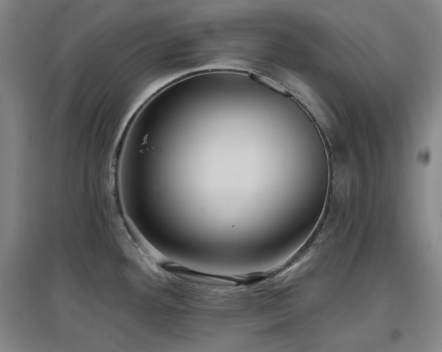 X0000097611292200802291253