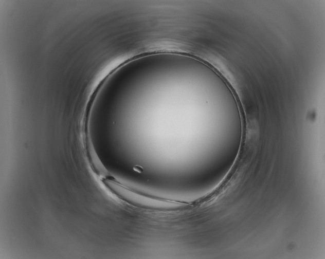 X0000097611293200802291253