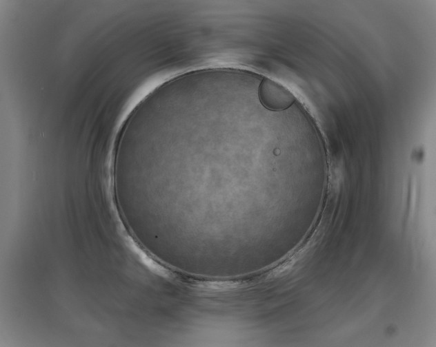 X0000097611294200802291253