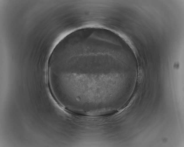 X0000097611295200802291253
