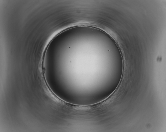 X0000097611296200802291253