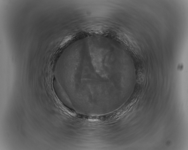 X0000097611297200802291252