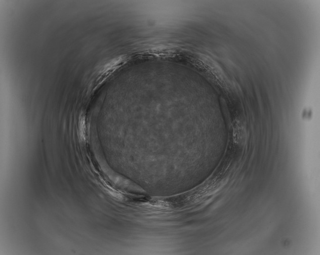 X0000097611298200802291252
