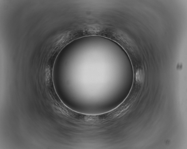 X0000097611299200802291252