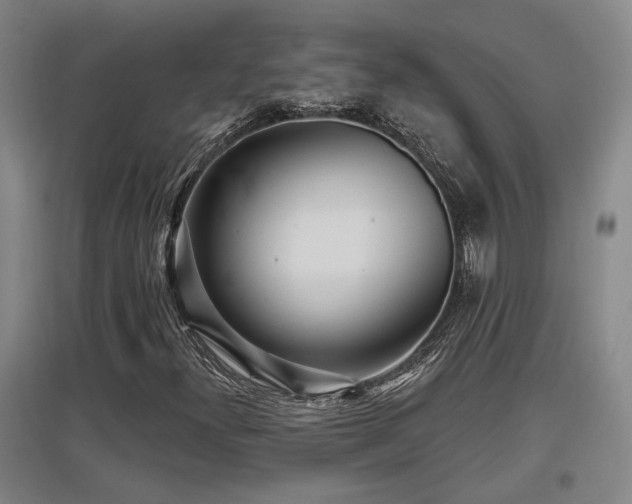 X0000097611300200802291252
