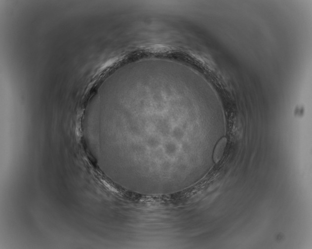 X0000097611301200802291252