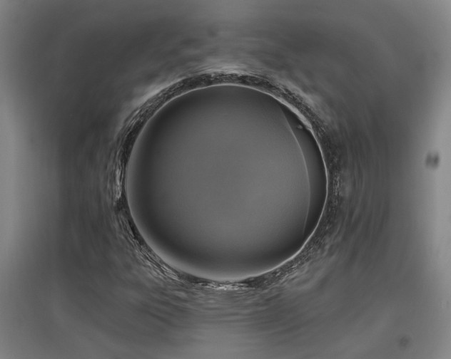 X0000097611303200802291252