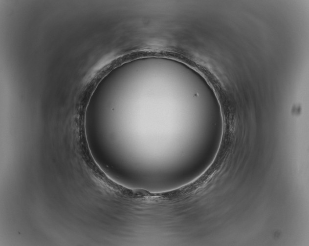 X0000097611304200802291252