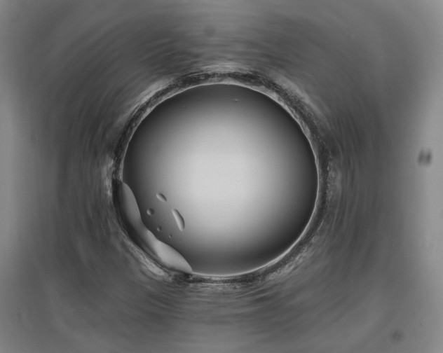 X0000097611305200802291252