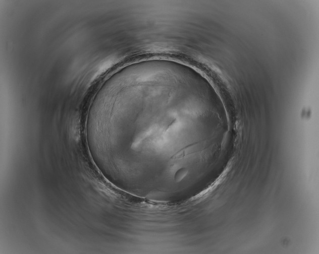 X0000097611306200802291252