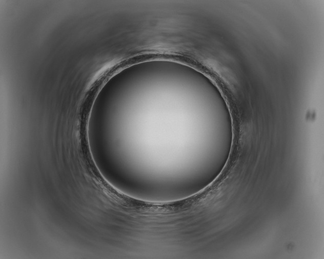 X0000097611307200802291252