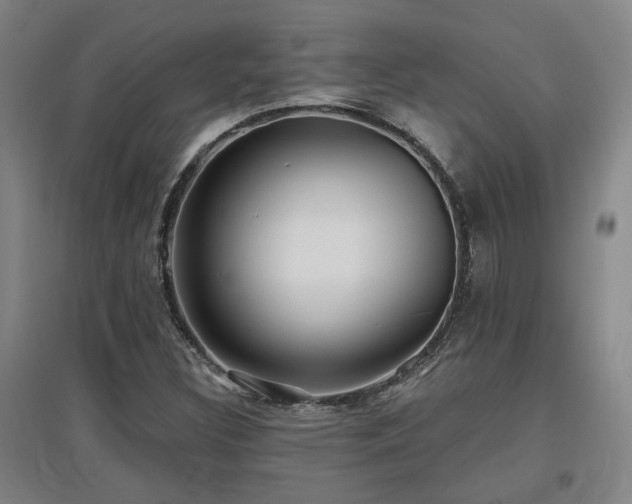 X0000097611308200802291253