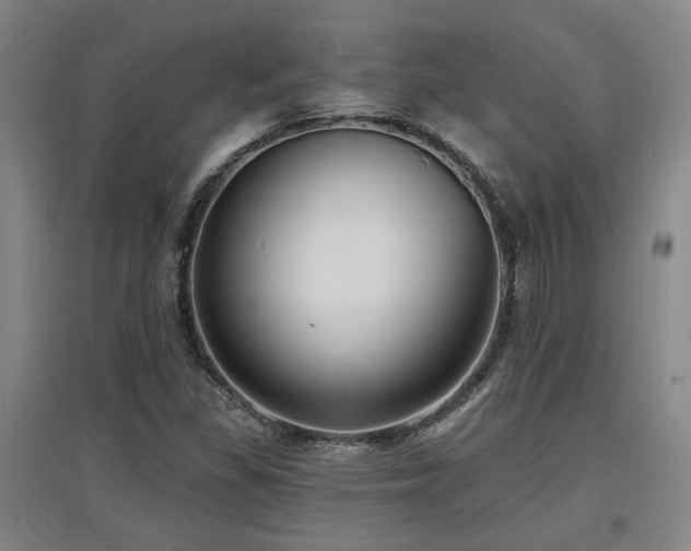X0000097611309200802291253