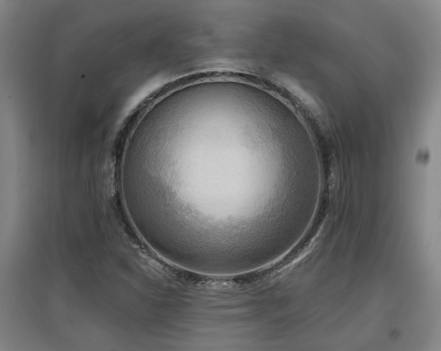 X0000097611310200802291253