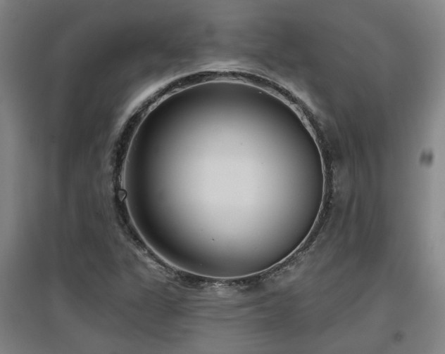 X0000097611311200802291253