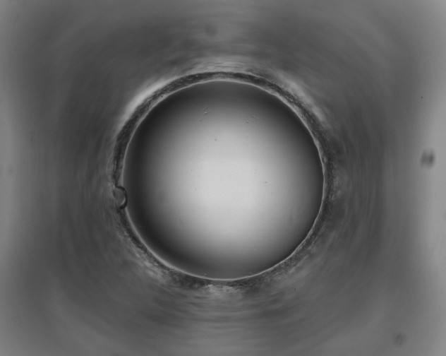 X0000097611312200802291253