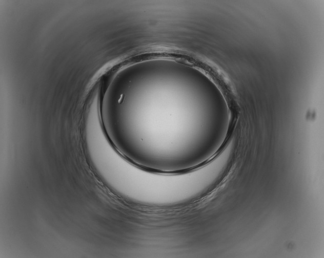 X0000097611314200802291253
